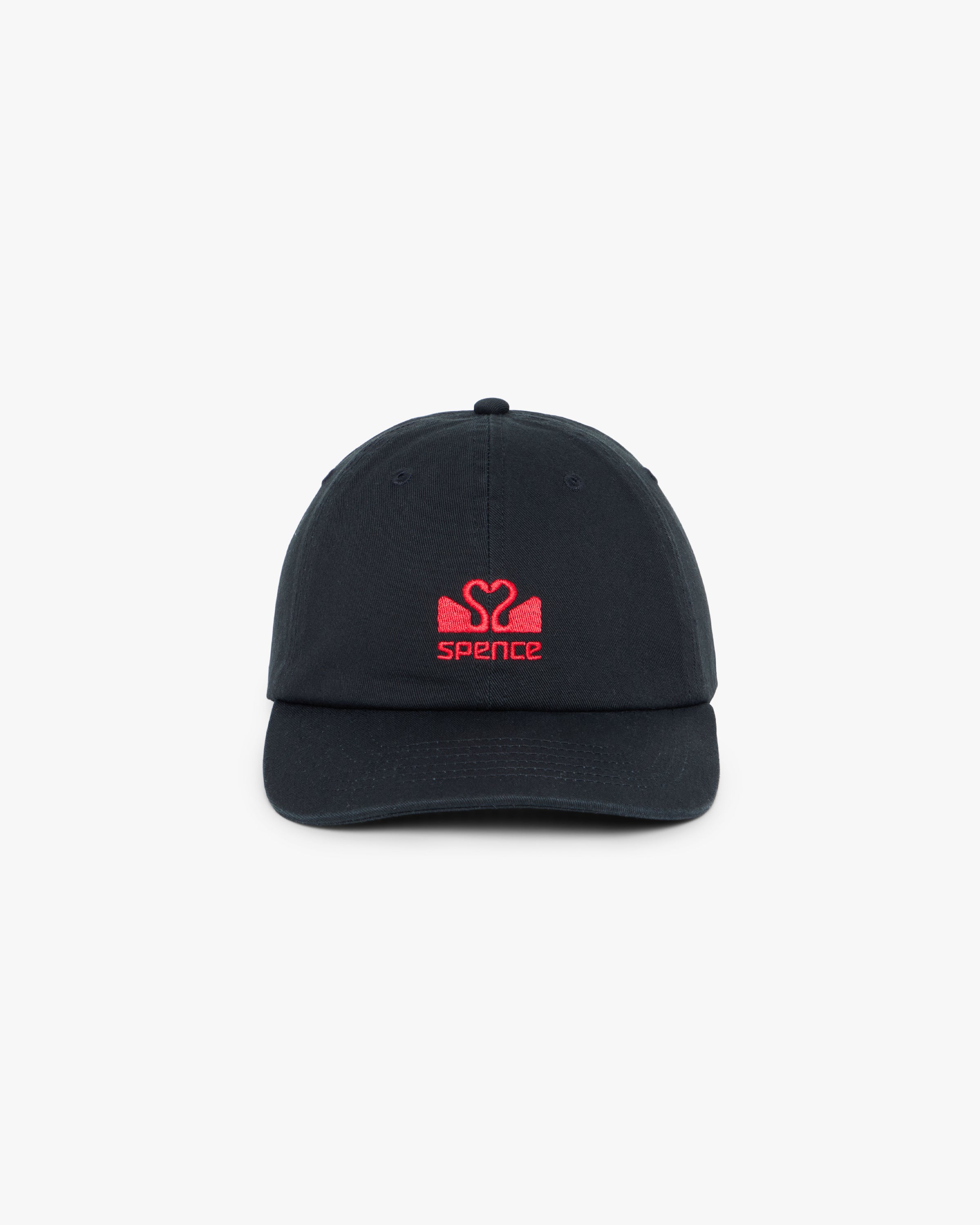 Logo Dad Hat