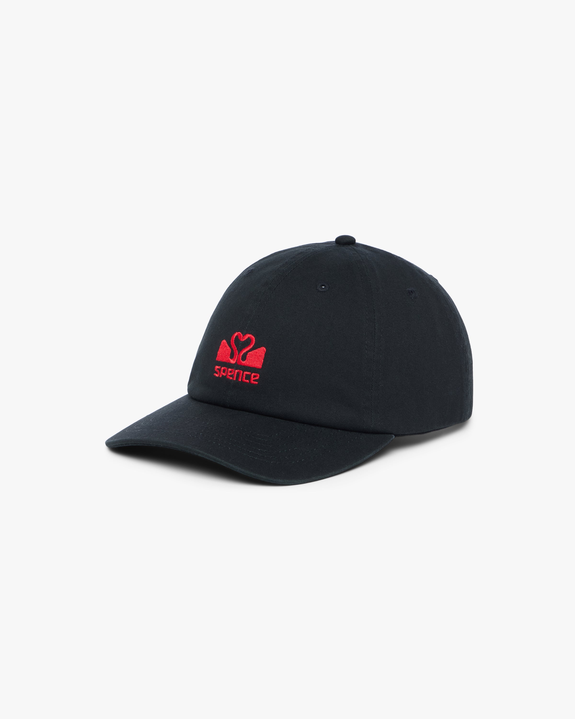 Logo Dad Hat